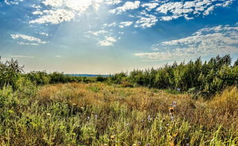 Осень в Таганроге. Фото ruffnews.ru