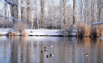 Зимняя Азовка. Фото Юлии Каргиной