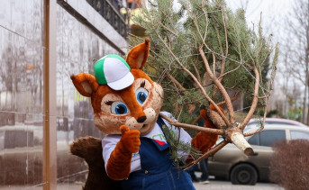 Сбор ёлок в Таганроге. Фото пресс-службы парка «Малинки»