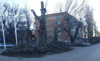 Опиловка деревьев. Фото пресс-службы администрации Азова