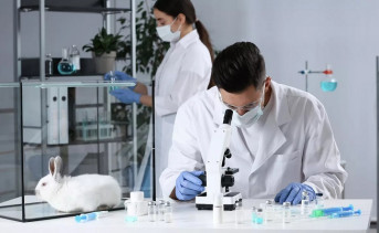 Учёные в лаборатории. Фото Getty Images/Liudmila Chernetska/РИА Новости