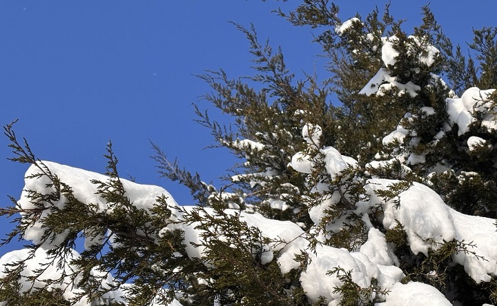 Февраль в Таганроге. Фото ruffnews.ru