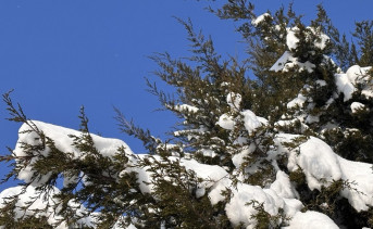 Февраль в Таганроге. Фото ruffnews.ru