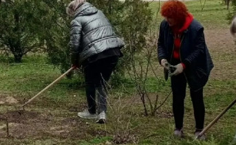 Высадка роз. Фото официальной страницы Вконтакте Руслана Заплавского