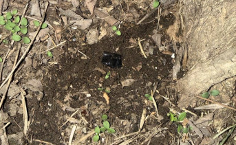 Пакет с наркотиками. Фото пресс-службы ГУ МВД по Ростовской области