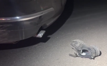 Место ДТП. Скриншот видео Госавтоинспекции Ростовской области