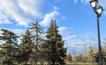 Весенний Петровский бульвар. Фото Романа Гурина