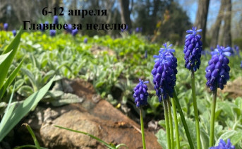 Цветы на клубе. Фото Александры Олейниковой