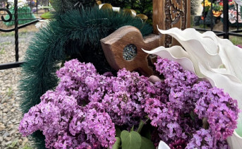 Кладбище. Фото ruffnews.ru