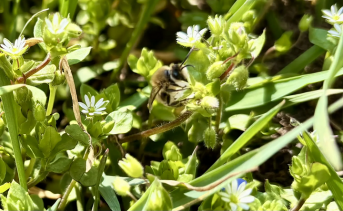Апрель в Таганроге. Фото ruffnews.ru