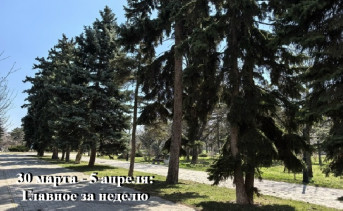 Центр. Фото Романа Гурина