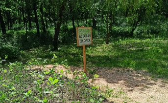 Дубовая школка. Фото Дмитрия Беспалова