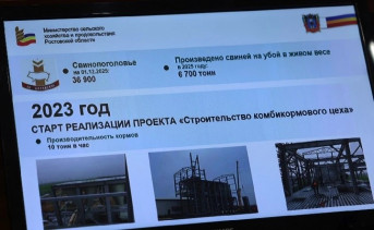 Слайд презентации совета по инвестициям. Фото пресс-службы губернатора Ростовской области
