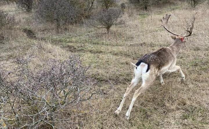 В Александровском лесу. Фото azovskiy.donland.ru