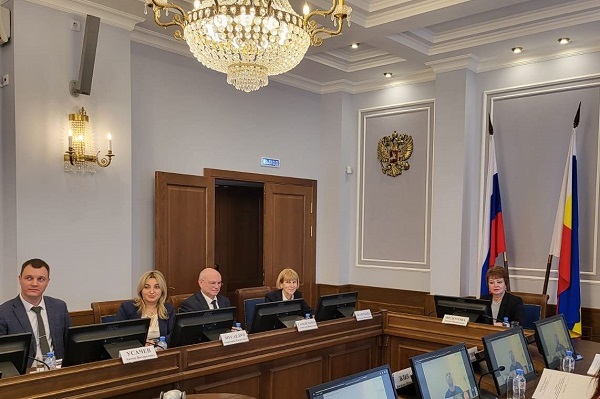 Заседание координационного совета. Фото donland.ru.