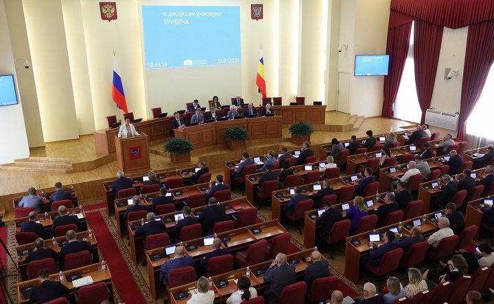 Заседание Законодательного собрания.  Фото donland.ru