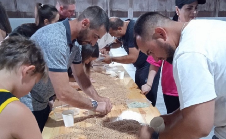 Участники игры ищут ключи в зерне. Фото biohutor.ru