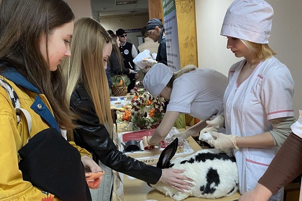 Знакомство с зоо-ветеринарными специальностями.Фото donland.ru.