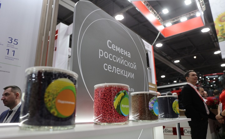 Семена. Фото пресс-службы губернатора Ростовской области