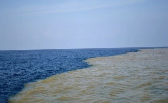 Граница Азовского и Чёрного морей. Фото donnews.ru